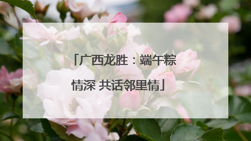 广西龙胜：端午粽情深 共话邻里情