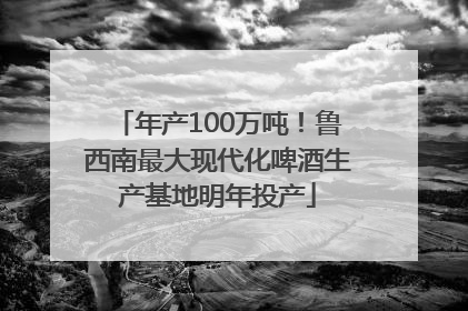 年产100万吨！鲁西南最大现代化啤酒生产基地明年投产