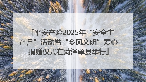 平安产险2025年“安全生产月”活动暨“乡风文明”爱心捐赠仪式在菏泽单县举行