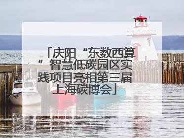 庆阳“东数西算”智慧低碳园区实践项目亮相第三届上海碳博会