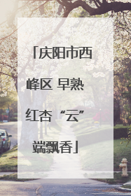 庆阳市西峰区 早熟红杏“云”端飘香