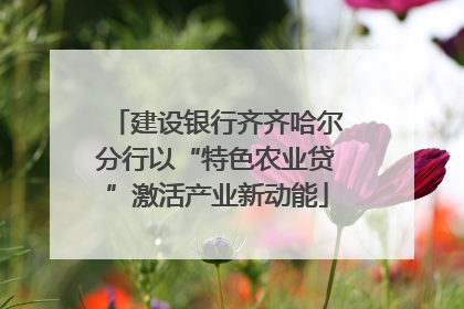 建设银行齐齐哈尔分行以“特色农业贷”激活产业新动能