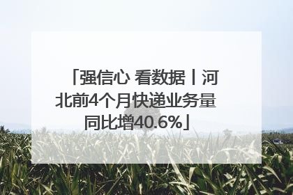 强信心 看数据丨河北前4个月快递业务量同比增40.6%