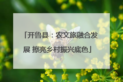 开鲁县：农文旅融合发展 擦亮乡村振兴底色