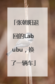 张朝阳退回的Labubu，换了一辆车