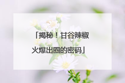 揭秘！甘谷辣椒火爆出圈的密码