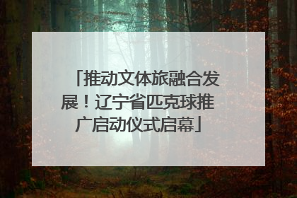 推动文体旅融合发展！辽宁省匹克球推广启动仪式启幕