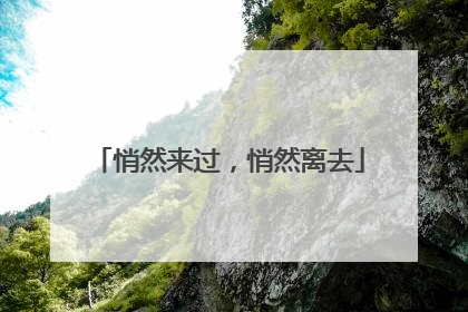 悄然来过，悄然离去