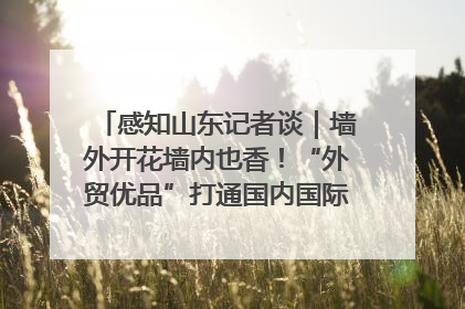 感知山东记者谈｜墙外开花墙内也香！“外贸优品”打通国内国际市场“旋转门”