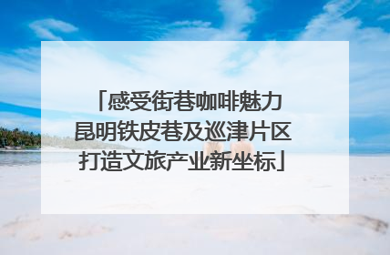 感受街巷咖啡魅力 昆明铁皮巷及巡津片区打造文旅产业新坐标