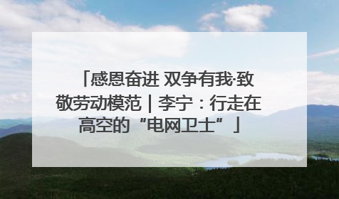 感恩奋进 双争有我·致敬劳动模范｜李宁：行走在高空的“电网卫士”