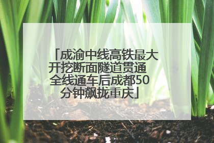 成渝中线高铁最大开挖断面隧道贯通 全线通车后成都50分钟飙拢重庆