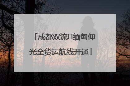 成都双流⇌缅甸仰光全货运航线开通