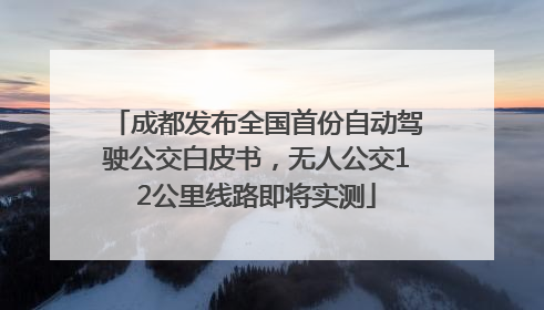 成都发布全国首份自动驾驶公交白皮书，无人公交12公里线路即将实测