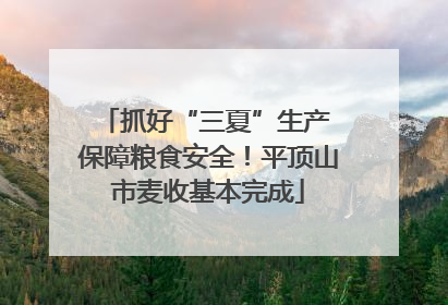 抓好“三夏”生产 保障粮食安全！平顶山市麦收基本完成