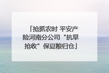 抢抓农时 平安产险河南分公司“抗旱抢收”保夏粮归仓