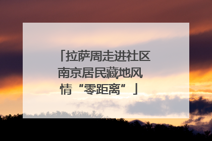 拉萨周走进社区 南京居民藏地风情“零距离”