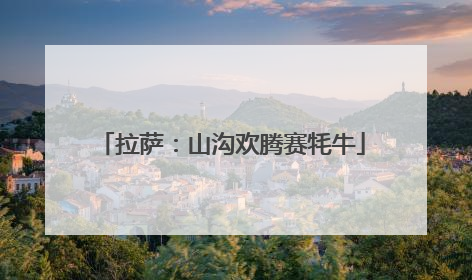 拉萨：山沟欢腾赛牦牛
