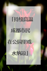 持续高温 成都市民在公园里戏水纳凉
