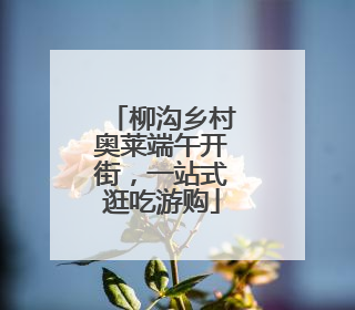 柳沟乡村奥莱端午开街，一站式逛吃游购