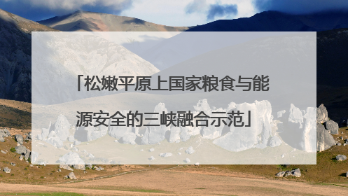 松嫩平原上国家粮食与能源安全的三峡融合示范