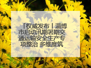 权威发布丨淄博市启动汛期暑期交通运输安全生产专项整治 多维度筑牢安全防线