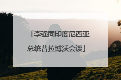 李强同印度尼西亚总统普拉博沃会谈