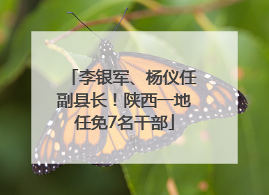 李银军、杨仪任副县长！陕西一地任免7名干部