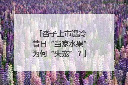 杏子上市遇冷 昔日“当家水果”为何“失宠”？