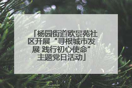 杨园街道欧景苑社区开展“寻根城市发展 践行初心使命”主题党日活动