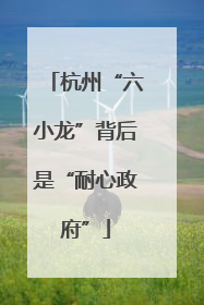 杭州“六小龙”背后是“耐心政府”