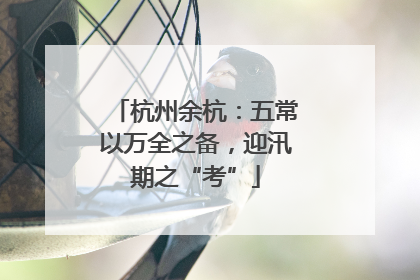 杭州余杭：五常以万全之备，迎汛期之“考”