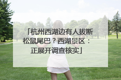杭州西湖边有人拔断松鼠尾巴？西湖景区：正展开调查核实