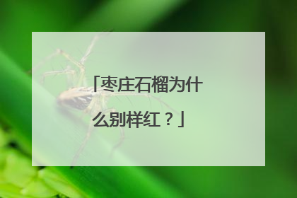枣庄石榴为什么别样红？