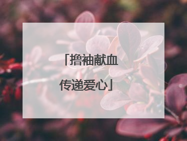撸袖献血 传递爱心