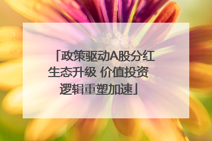 政策驱动A股分红生态升级 价值投资逻辑重塑加速