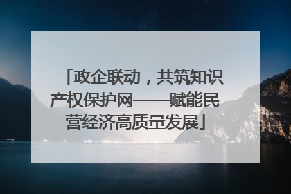 政企联动，共筑知识产权保护网——赋能民营经济高质量发展