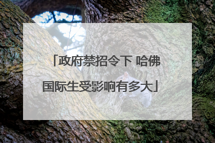 政府禁招令下 哈佛国际生受影响有多大