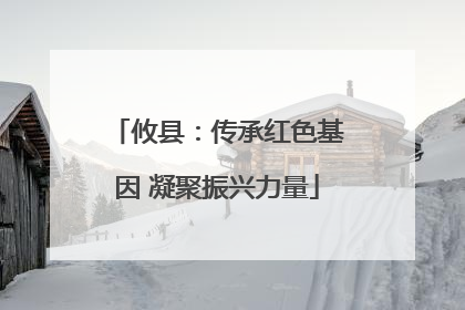 攸县：传承红色基因 凝聚振兴力量