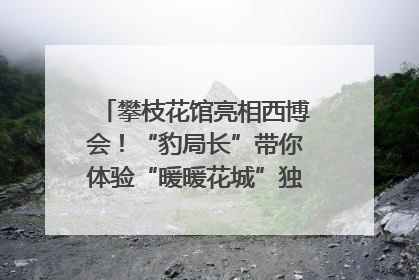 攀枝花馆亮相西博会！“豹局长”带你体验“暖暖花城”独特魅力｜西博视界
