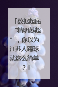 数据起底“精明苏超”，你以为江苏人踢球就这么简单？