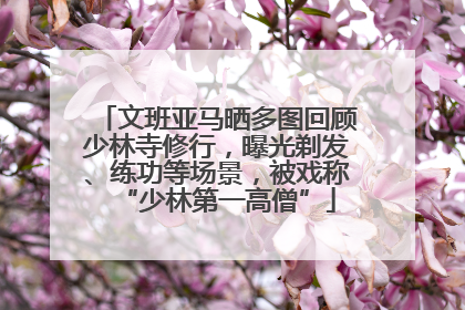 文班亚马晒多图回顾少林寺修行，曝光剃发、练功等场景，被戏称“少林第一高僧”