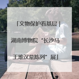 文物保护看基层｜湖南博物院“长沙马王堆汉墓陈列”展