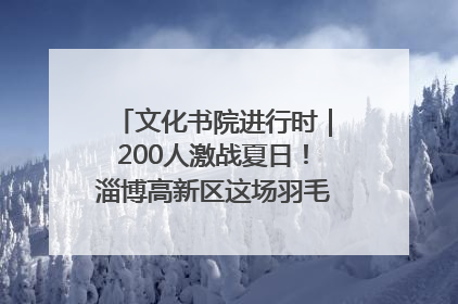 文化书院进行时｜200人激战夏日！淄博高新区这场羽毛球比赛太酷