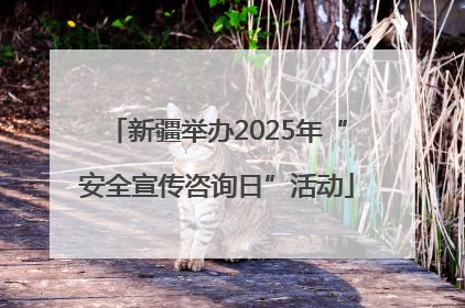 新疆举办2025年“安全宣传咨询日”活动