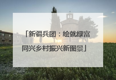 新疆兵团：绘就绿富同兴乡村振兴新图景