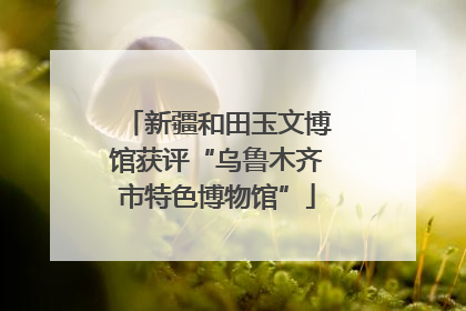 新疆和田玉文博馆获评“乌鲁木齐市特色博物馆”