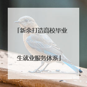 新余打造高校毕业生就业服务体系