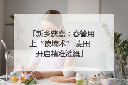 新乡获嘉：春管用上“读墒术” 麦田开启精准灌溉