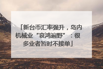 新台币汇率强升，岛内机械业“哀鸿遍野”：很多业者暂时不接单